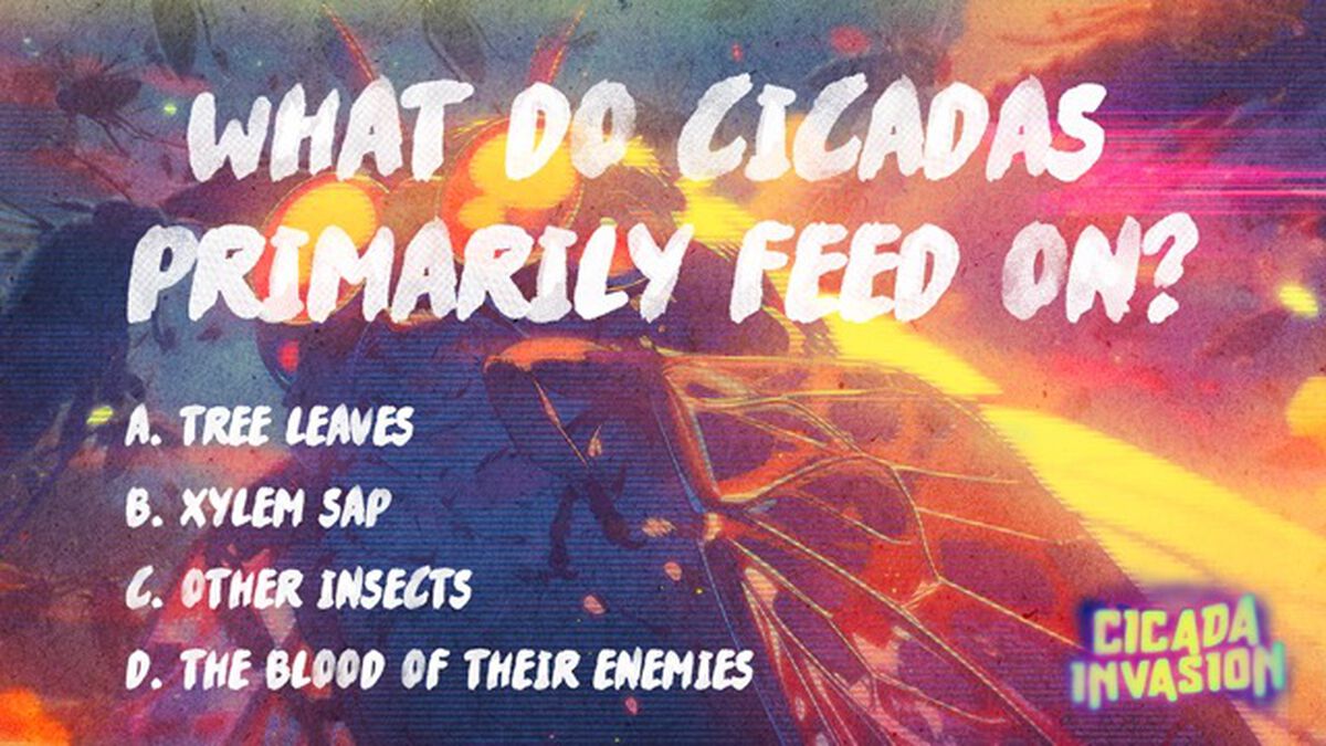 Cicada Invasion image number null